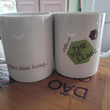 The Vie Llage - Authorial Vagos