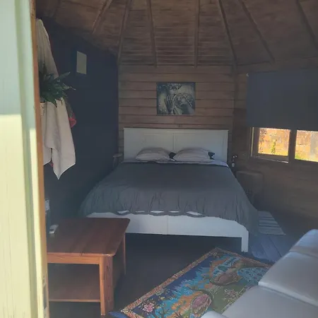 The Vie Llage - Authorial Vagos