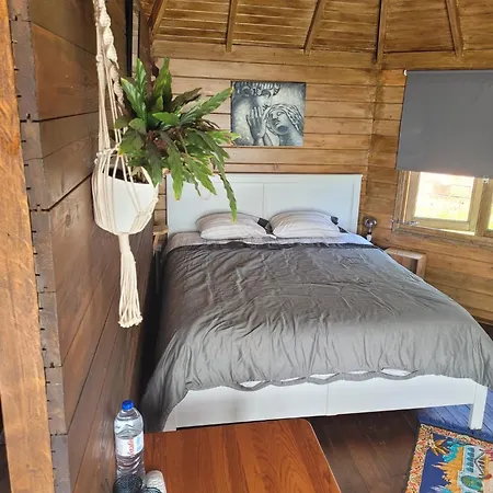 The Vie Llage - Authorial Gasthuis Vagos