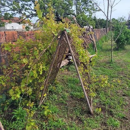 The Vie Llage - Authorial 3* Vagos