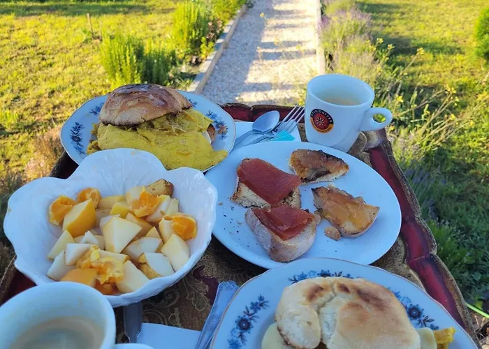 The Vie Llage - Authorial