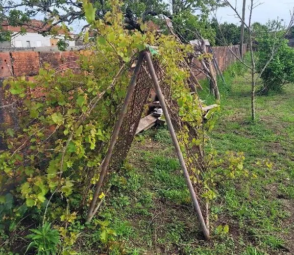 The Vie Llage - Authorial 3* Vagos