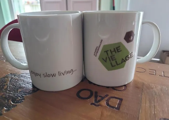 The Vie Llage - Authorial Vagos